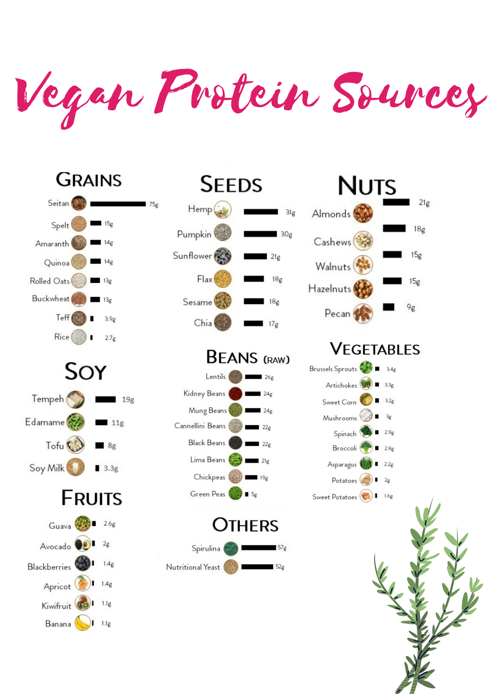 vegan sources of protein